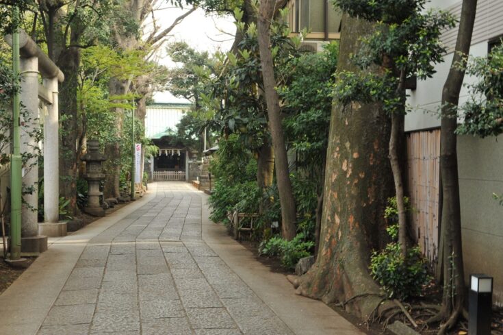 戸越銀座駅近隣の賃貸の特徴