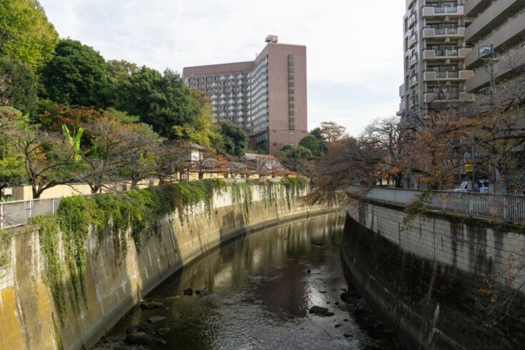 江戸川橋駅周辺の賃貸について