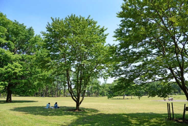 武蔵小金井は落ち着いた住みやすい街