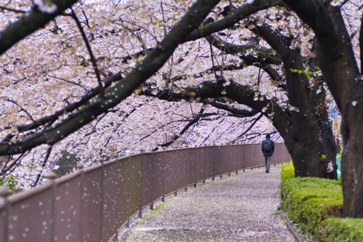町田は子育てしやすい自然な街