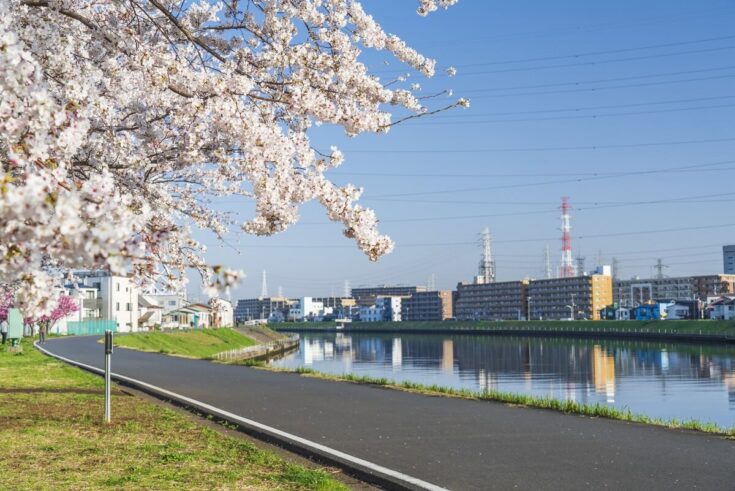 矢向はどんな街なのか?