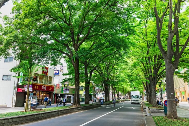 府中が人気な理由