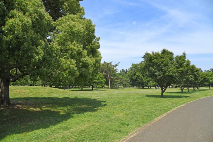 三鷹が人気な理由