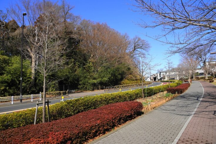 三鷹はバランスのいい暮らしやすさを誇る街