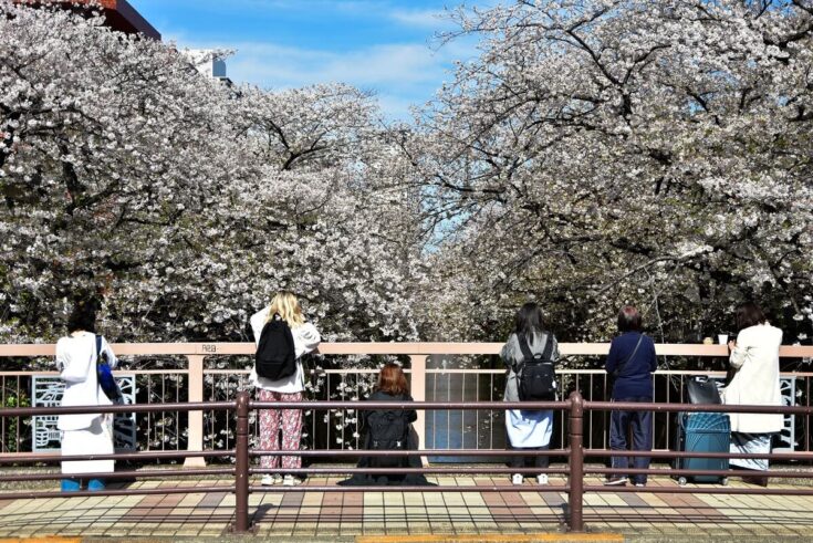 目黒が人気な理由