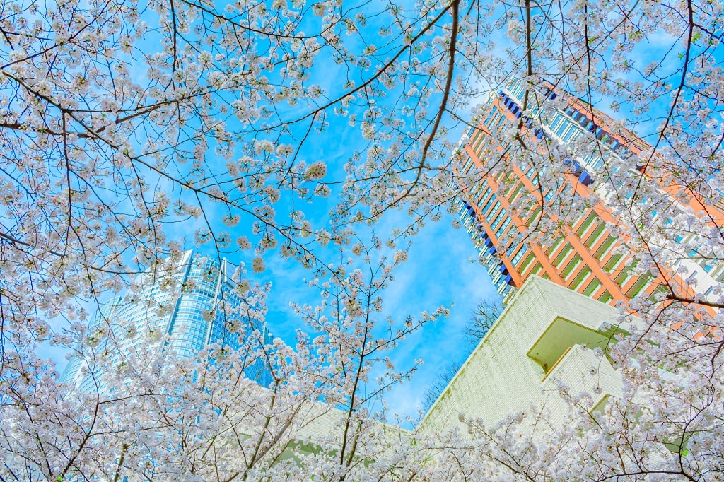 【季節別】マンション売却に適したタイミングとは？