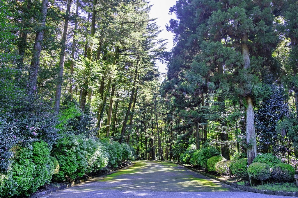 八王子近郊のレジャースポットを大特集！