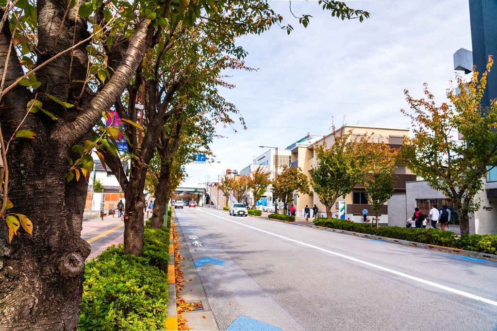 仙川はなぜ人気の街？その魅力とは