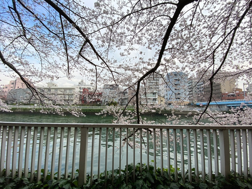 清澄白河は古さと新しさを兼ね備えたお洒落な街