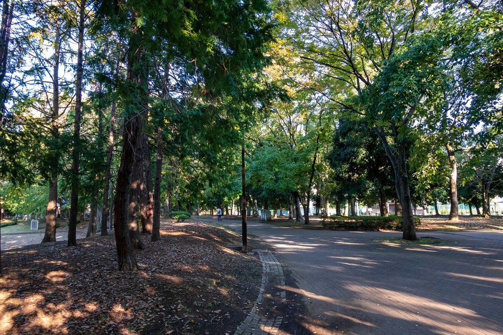 清澄白河暮らしのメリット・デメリット