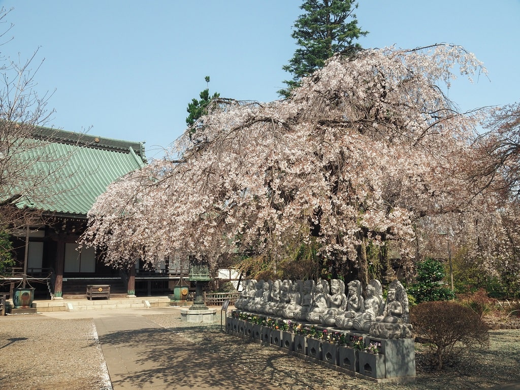 直通運転が充実！志木駅の特徴