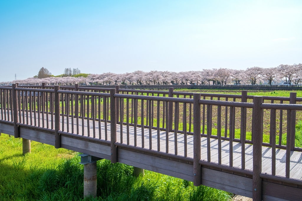 都内まで約30分!川越駅の特徴