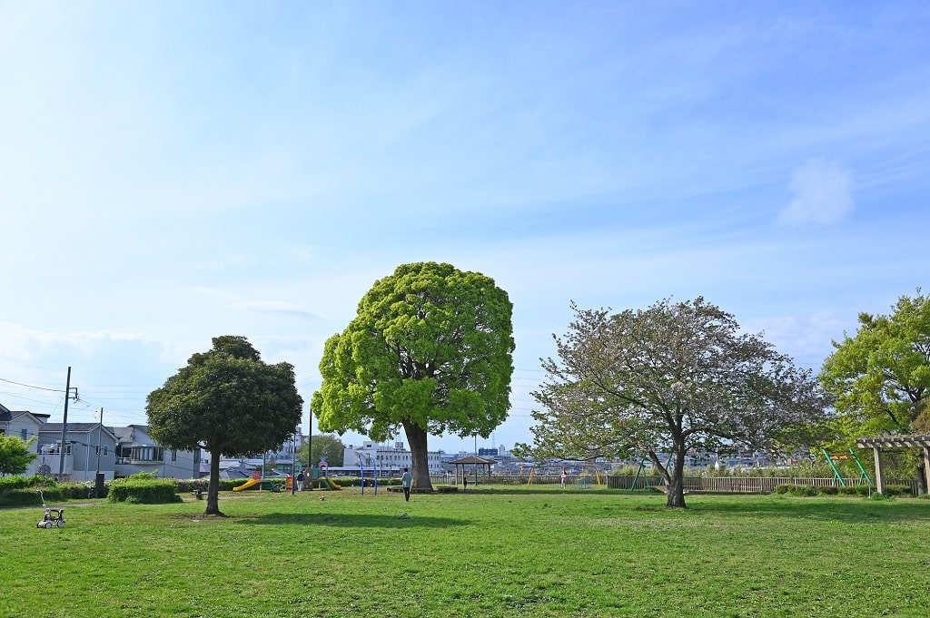 藤沢駅の子育て環境とおでかけスポット
