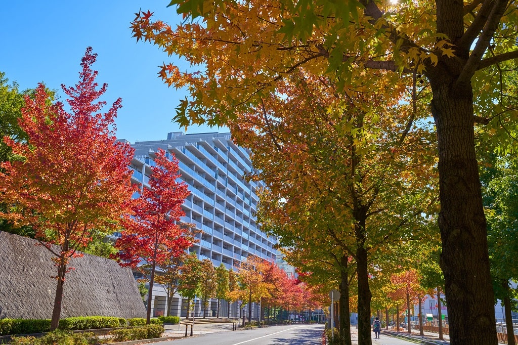 新百合ヶ丘駅が子育てファミリーに住みやすい理由