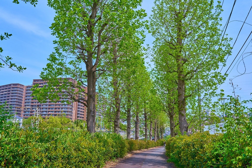 新百合ヶ丘駅の自然あふれる子育て環境