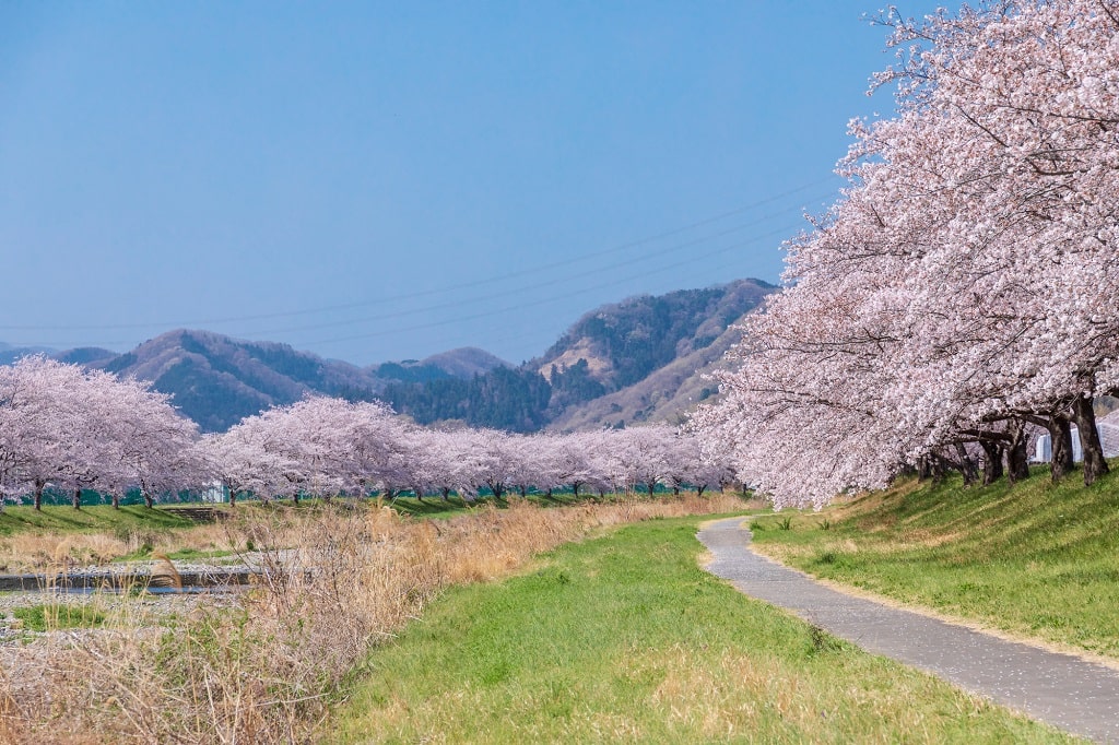 本庄駅が住みやすい理由