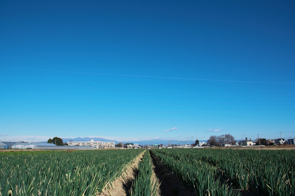 ノスタルジーな雰囲気!本庄駅の特徴