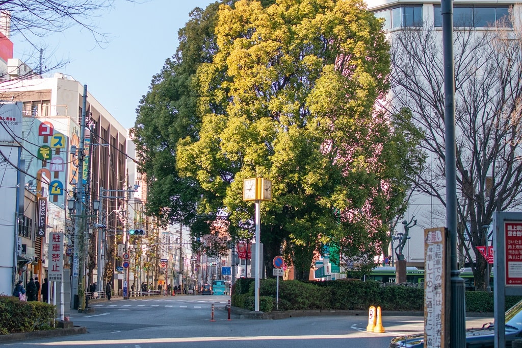 浦和駅は子育てファミリー安心して暮らせる街！
