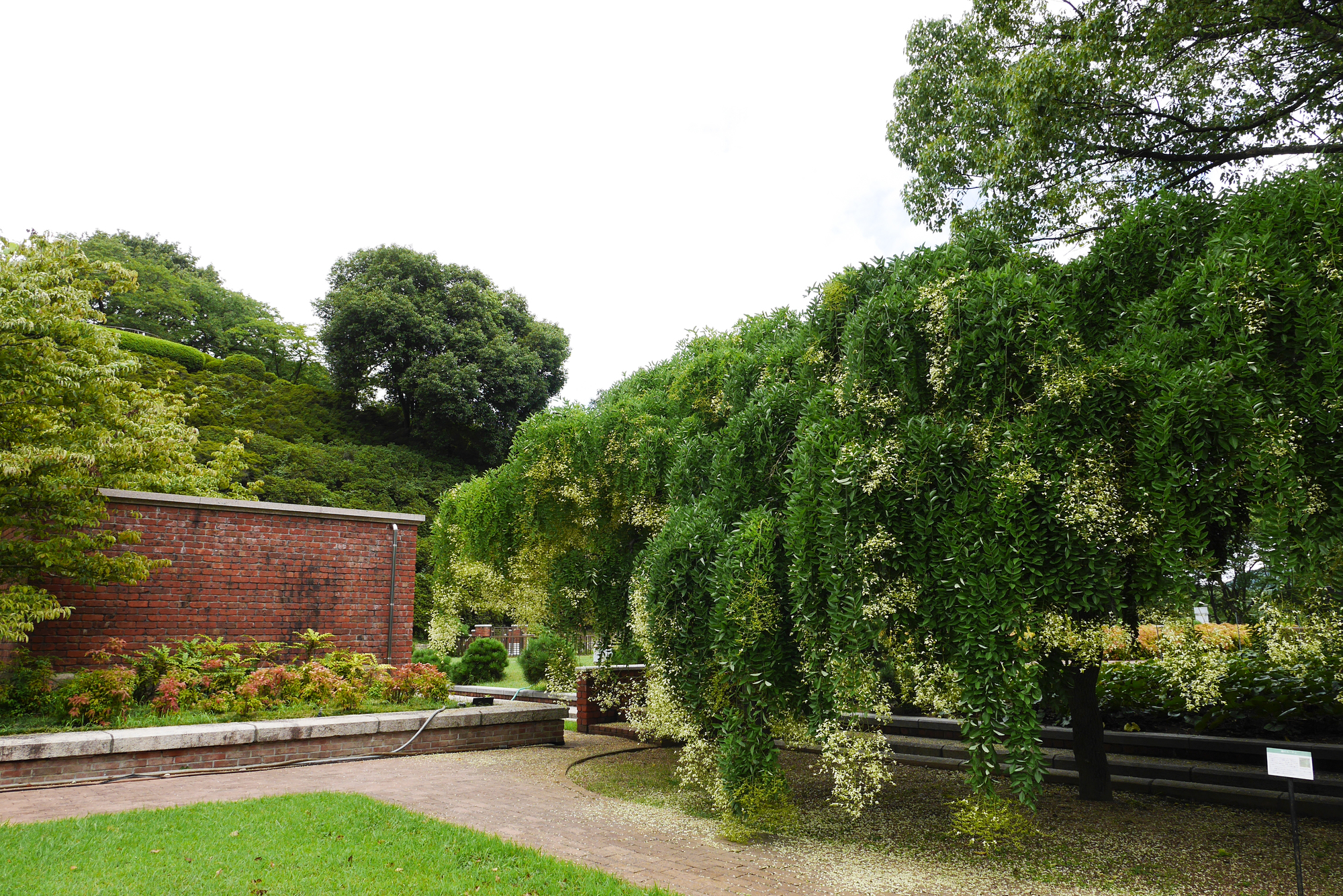 不動産買取相談